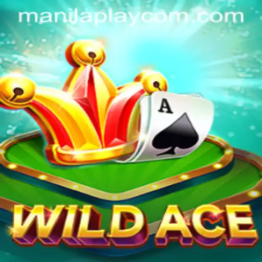 Explore the Thrills of WildAce: The Ultimate Card Game Experience